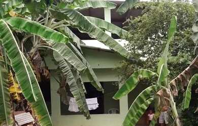 Imagem: A casa possui 2 Dormitórios, 1 Banheiro, 90m² de Área e