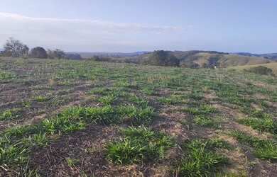 Imagem 12: Lote/Terreno para venda tem 500 metros quadrados em Jardim dos Pinheiros...
