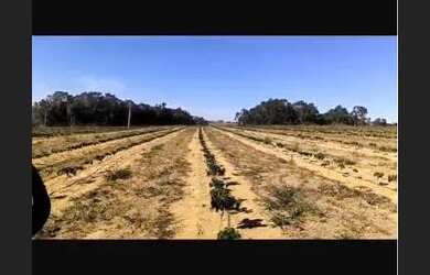 Imagem: A fazenda possui Imóvel novo e está localizado em Uberlândia