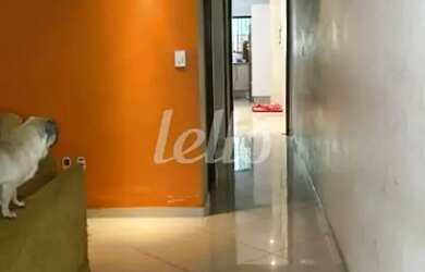 Imagem 6: Casa 3 quartos à venda no a Vila Camilópolis