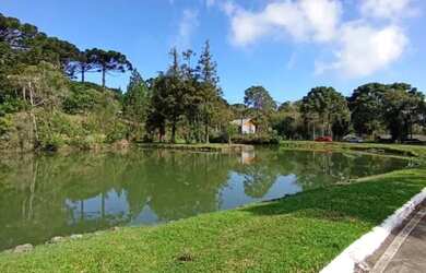 Imagem 13: Terreno - Bairro Vale dos Pinheiros