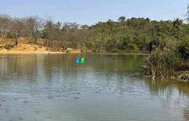 Imagem: A fazenda possui 1.005m² de Área e está localizado em Bela