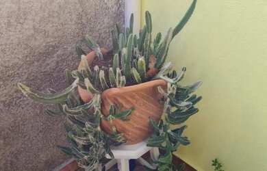 Imagem 13: CASA RESIDENCIAL em JUNDIAÍ - SP, JARDIM ITÁLIA