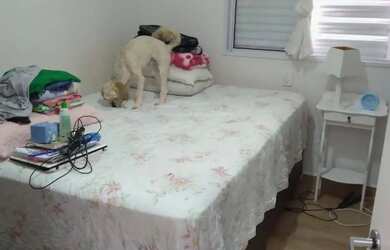 Imagem 9: Apartamento com 2 dormitórios, 50 m² - venda por R$ 320.000,00 ou aluguel...