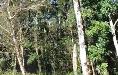 Imagem: O terreno possui 364m² de Área e está localizado em Nova