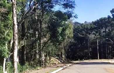 Imagem 7: Terreno para Venda em Nova Petrópolis, Linha Imperial