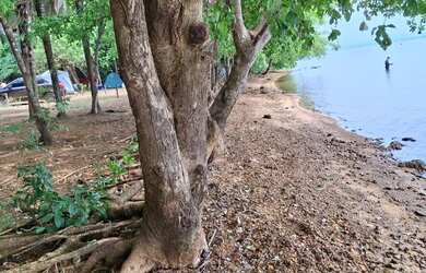 Imagem: A chácara possui 1.000m² de Área e está localizado em Plano