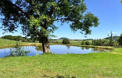 Imagem 14: Sitio Santa Lúcia 7,13 Alq por R$ 1.250.000,00