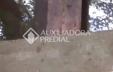 Imagem 13: SITIO EM NOVA PETRÓPOLIS