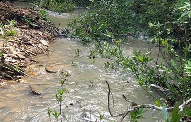 Imagem: A chácara possui 30.000m² de Área e está localizado em