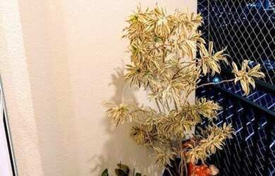 Imagem 7: Apartamento à venda, 54 m² por R$ 470.000,00 - Jaguaré - São Paulo/SP