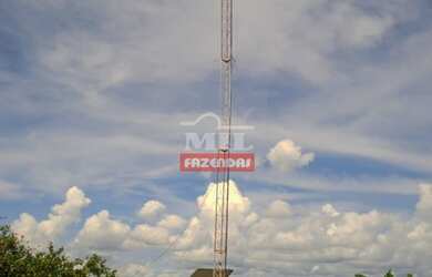 Imagem 14: Fazenda no Vale do Araguaia-MT. gt 1.598 Há. Excelente p/ Lavoura