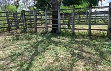 Imagem 10: Oportunidade de Fazenda na Região de Santa Terezinha