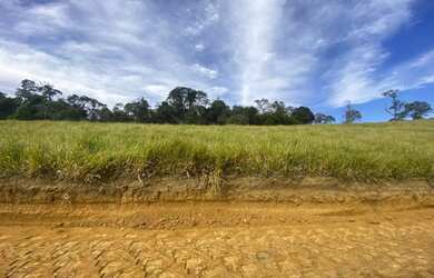 Imagem 3: Lote/Terreno para venda possui 600 metros quadrados em Vicente Nunes -...
