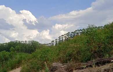 Imagem: O terreno possui 1000m² de Área e está localizado em Cidade