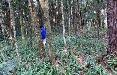 Imagem: O terreno possui 196.000m² de Área e está localizado em