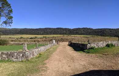 Imagem 9: VENDO FAZENDA 1.026ha em São José dos Ausentes