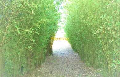 Imagem 3: Chácara com 1.187m², contando uma casa semi mobiliada de 420m² à venda, Centro Histórico