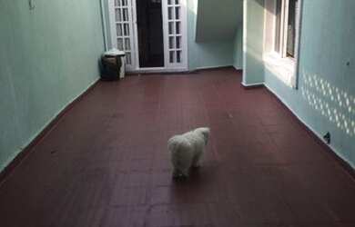 Imagem 8: LINDA CASA NA AGUA FRIA. Churrasqueira, Varanda, Área de serviçoe135m²...