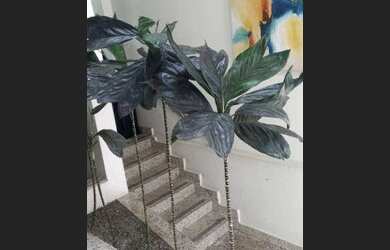 Imagem: O depósito possui 40m² de Área e está localizado em Lapa