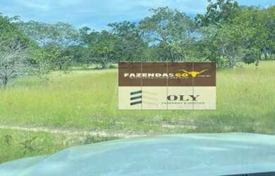 Imagem 5: Fazenda Extra 291 Alq- Região Luiz Eduardo Magalhães com Taguatinga-TO