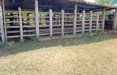 Imagem 8: Oportunidade de Fazenda na Região de Santa Terezinha