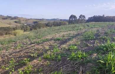 Imagem 13: Lote/Terreno para venda tem 500 metros quadrados em Jardim dos Pinheiros...