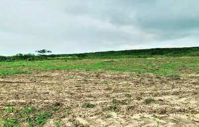 Imagem 4: Fazenda de 60 Tarefas - Lagarto