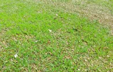 Imagem 1: Terreno. 1.111.111m² de Área