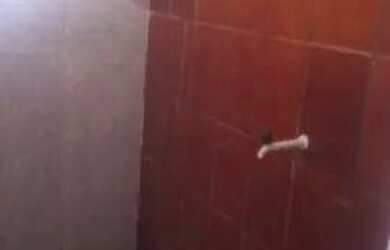 Imagem 4: Alugo uma casa 1/4. 2 Banheirose1 Dormitório