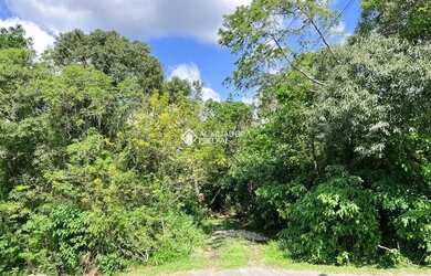 Imagem 2: TERRENO NA VÁRZEA GRANDE EM GRAMADO