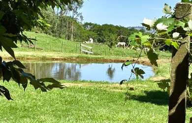 Imagem 8: Sitio Santa Lúcia 7,13 Alq por R$ 1.250.000,00