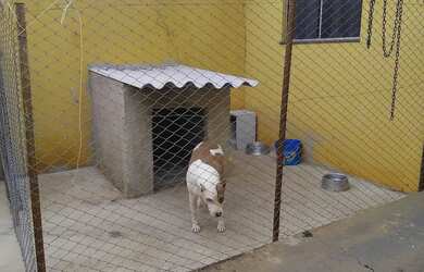 Imagem: A casa possui 3 Dormitórios, 2 Banheiros, 2 Vagas na garagem