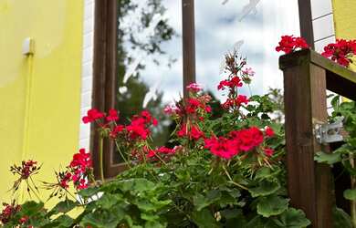 Imagem 9: Casa para venda em Cachoeira do Bom Jesus com 2 quartos , 120m²