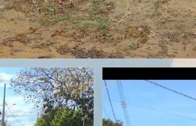 Imagem: O terreno possui 368m² de Área e está localizado em Januária