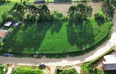 Imagem 6: Área 5.600 m² para venda em Almirante Tamandaré