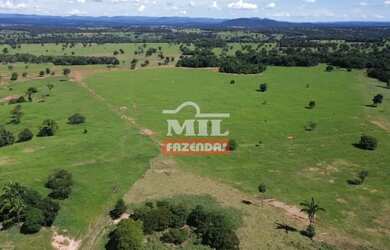 Imagem 3: Fazenda 197 alqueires 953,48 hectares Novo Brasil - Go