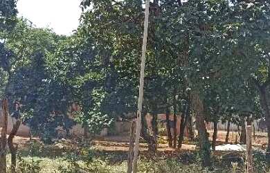 Imagem: O terreno possui 232m² de Área e está localizado em Vila