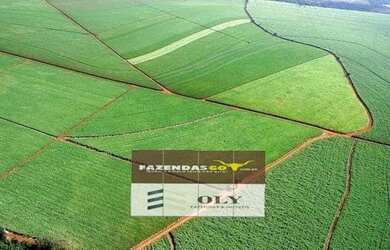 Imagem: A fazenda está localizado em Acreúna, GO à venda por R$27.600.000