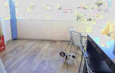 Imagem 2: Venda Residential / Penthouse Belo Horizonte MG