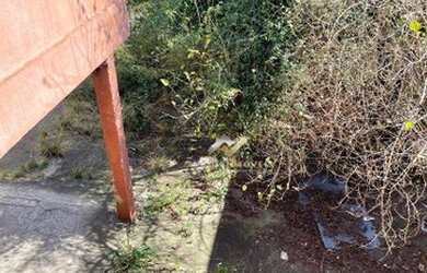 Imagem 7: Terreno à venda, 300 m² por R$ 530.000 - Vila Pires - Santo André/SP