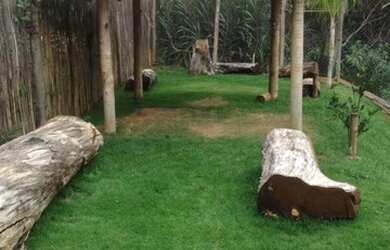 Imagem 3: Sítio para Venda em Fazendinha do Barão Santa Luzia-MG