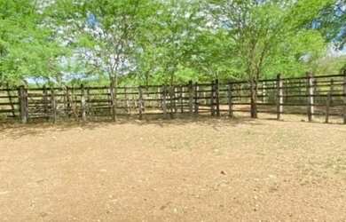 Imagem 6: Oportunidade de Fazenda na Região de Santa Terezinha