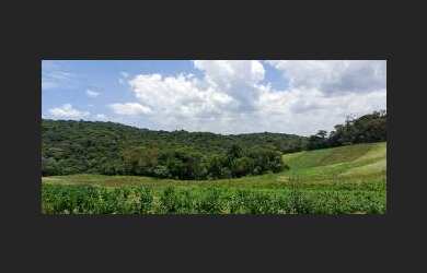 Imagem 3: Lote/Terreno para venda com 600 metros quadrados em Jardim Helena - Carapicuíba...