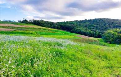 Imagem 11: Lote/Terreno para venda com 600 metros quadrados em Centro - Vargem Grande...
