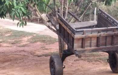 Imagem 6: Chácara 5 Mil Metros CASA LINDA a 18 km de Montes Claros Saída Bocaiuva