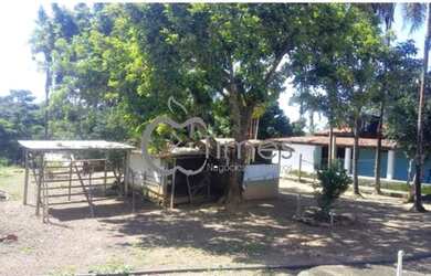 Imagem 6: Rural fazenda com 3 quartos - Bairro Zona Rural em Bela Vista de Goiás