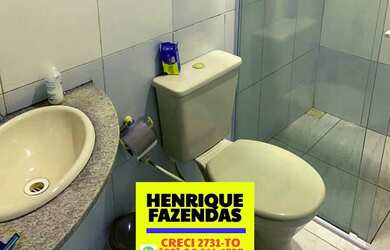 Imagem 9: Fazenda 45 km de Palmas lavoura e pecuária