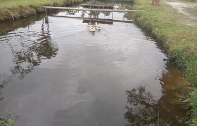 Imagem 3: Troco chácara em guaratuba por casa em curitiba