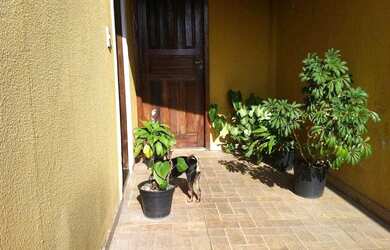 Imagem 11: Sobrado a venda no Jaguaré